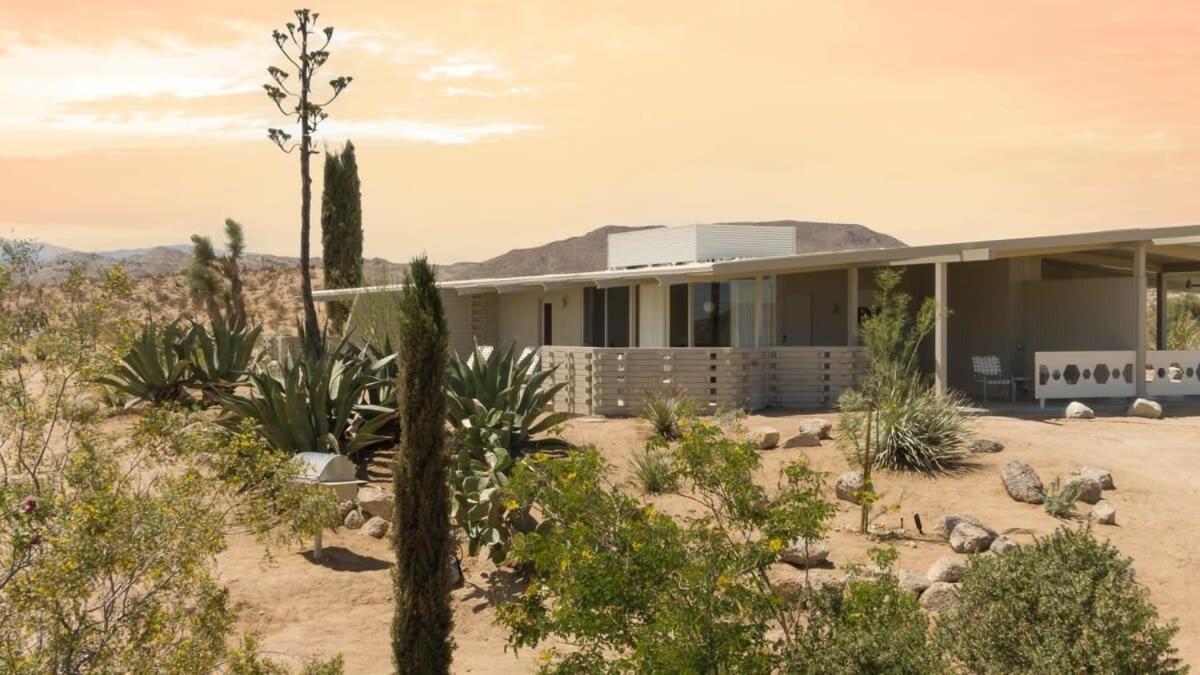 The Bungalows By Homestead Modern Joshua Tree Ngoại thất bức ảnh