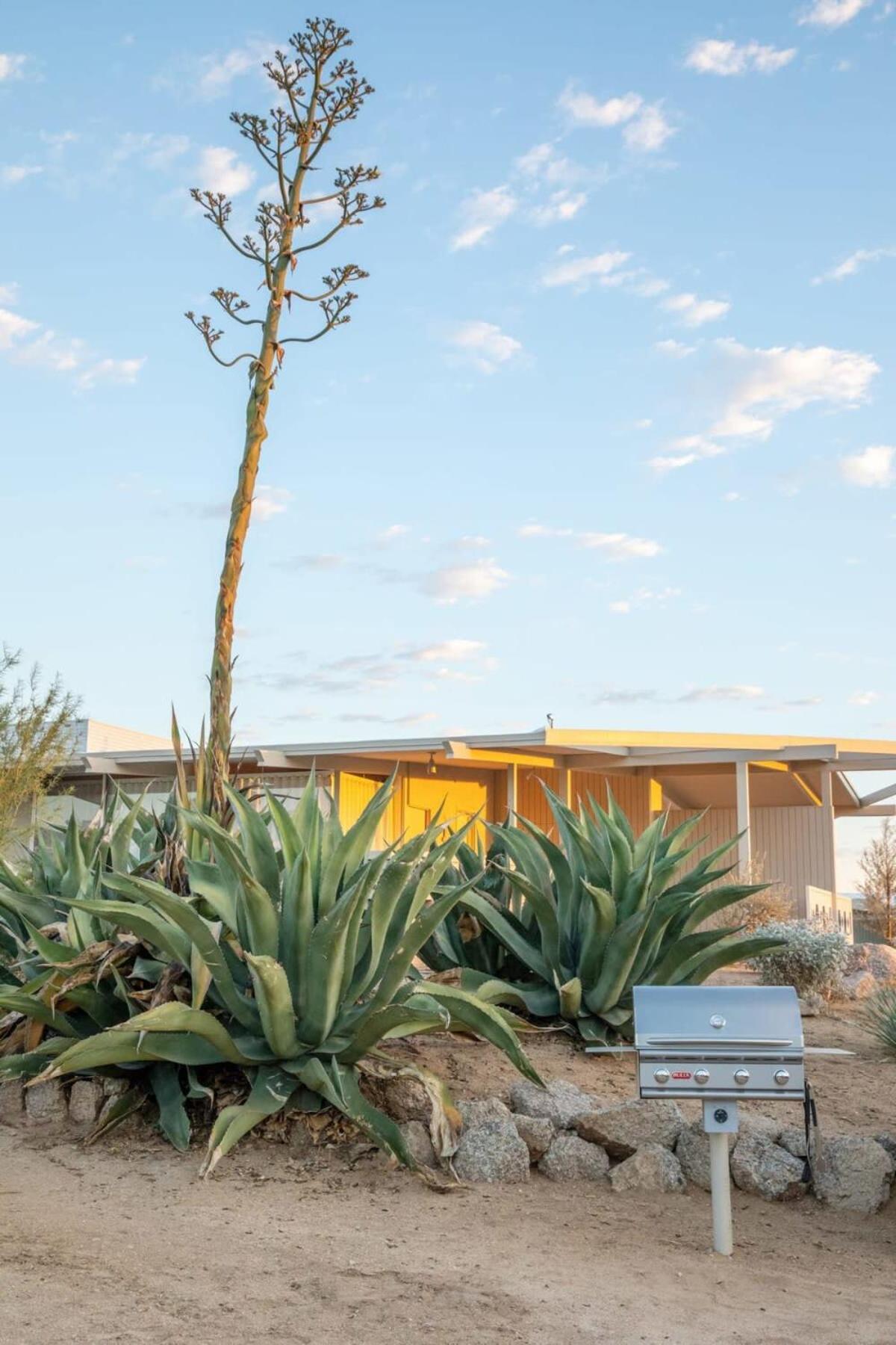 The Bungalows By Homestead Modern Joshua Tree Ngoại thất bức ảnh